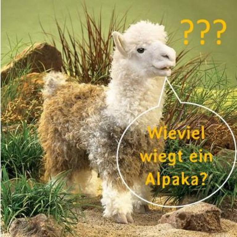 Alpaka-Quiz__COPY__23