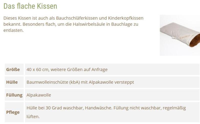 Flaches-Kissen2__33
