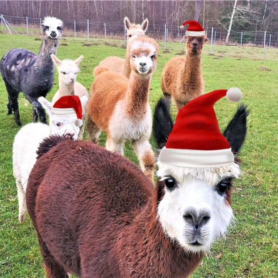 Publikation1__COPY__29