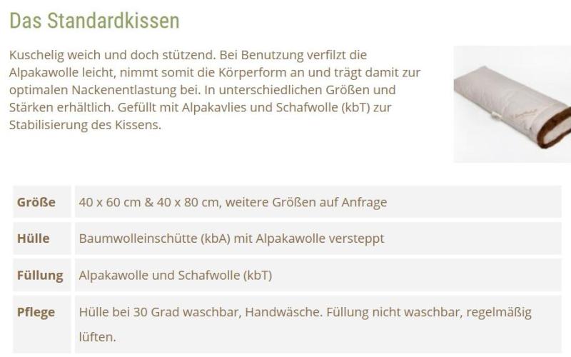 Standard-Kissen2__33