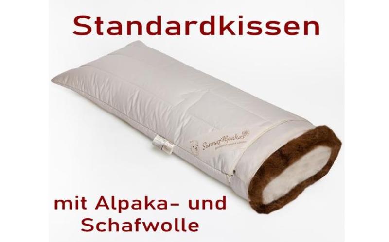 StandardkissenWebseitenformat-2023__33