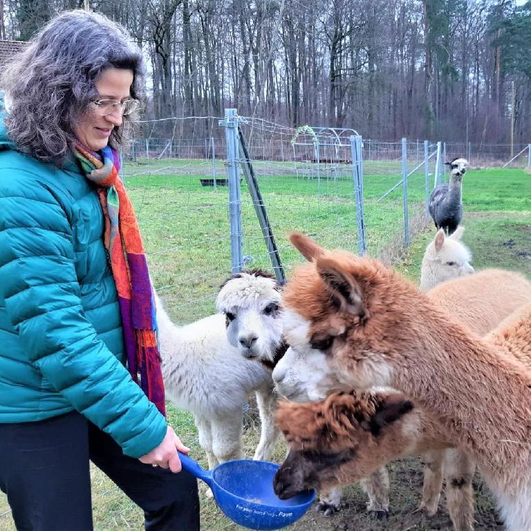 einem Alpaka Picknick im Raum Steinhagen